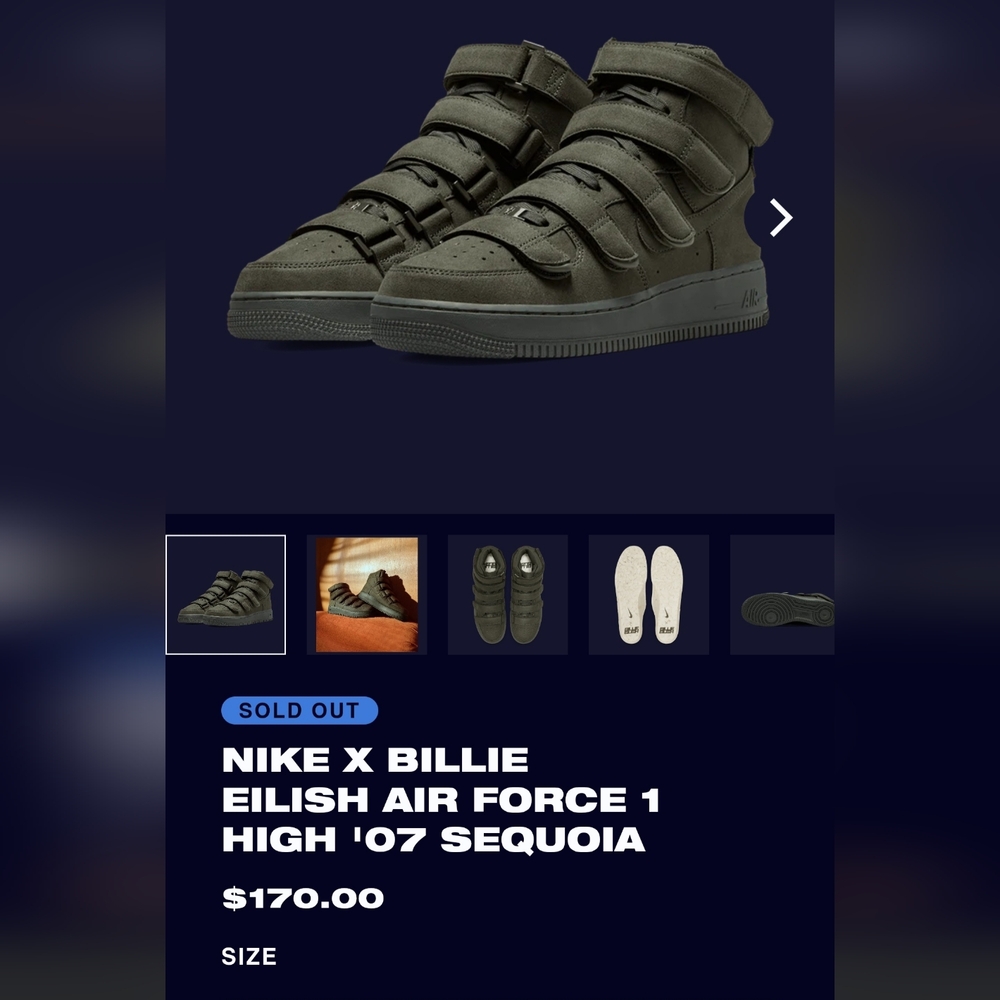 Nike Air Force 1 High "07 SP Sequoia Billie Eilish - Picture 3 of 15